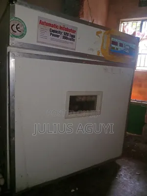 Good Qulity Incubator