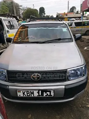 Toyota Probox 1.5 DX 2WD 2004 Silver