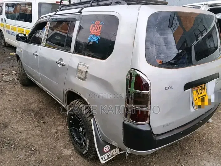 Toyota Probox 1.5 DX 2WD 2004 Silver