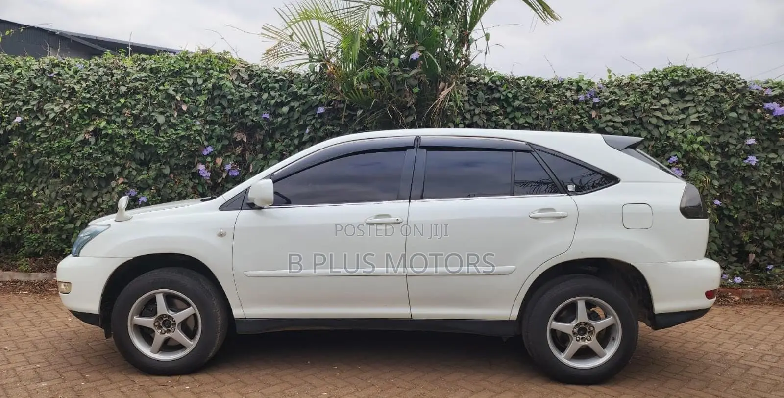 Toyota Harrier 2005 White