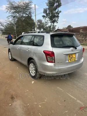 Toyota Corolla Fielder 2010 Silver