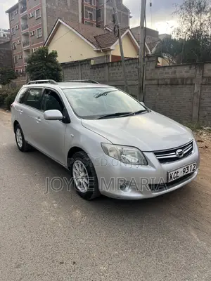 Toyota Corolla Fielder 2010 Silver