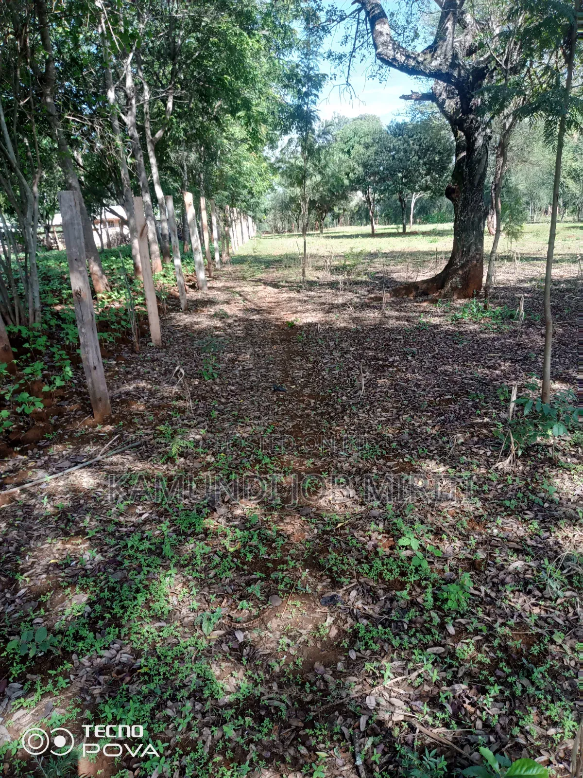 Land for Sale