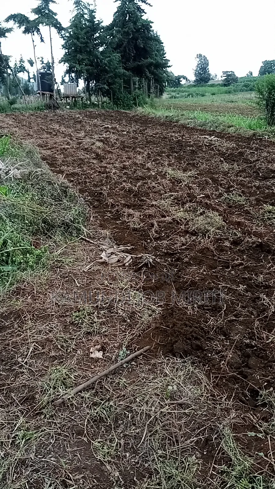 Land for Sale