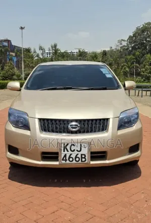 Toyota Axio 2010 Gold