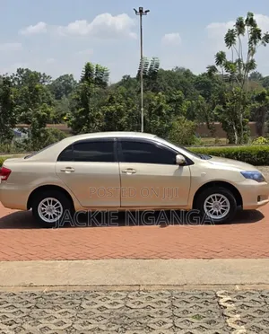 Toyota Axio 2010 Gold