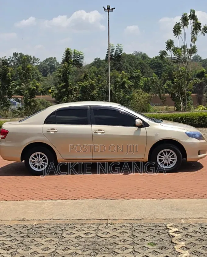 Toyota Axio 2010 Gold