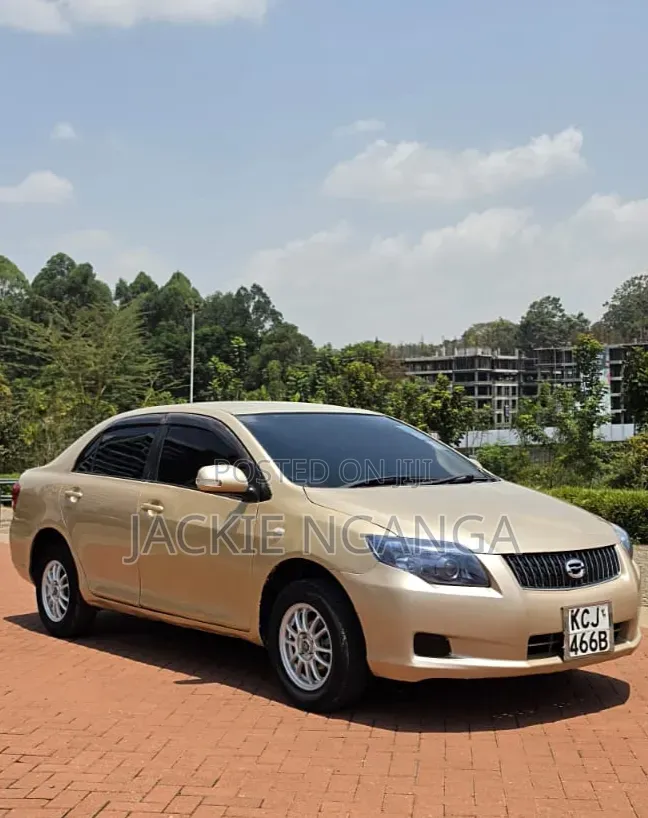 Toyota Axio 2010 Gold