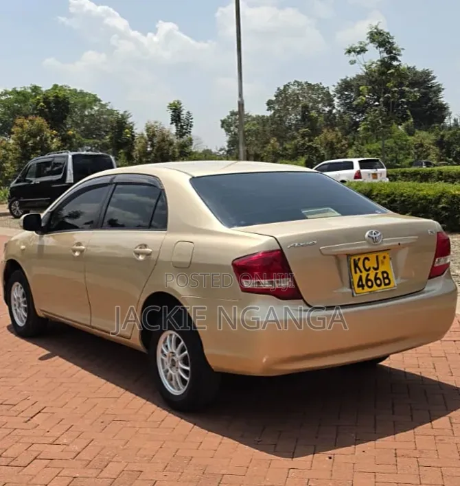 Toyota Axio 2010 Gold