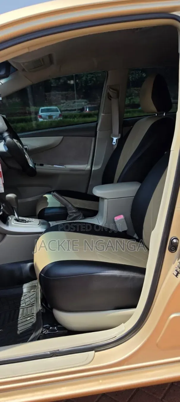 Toyota Axio 2010 Gold