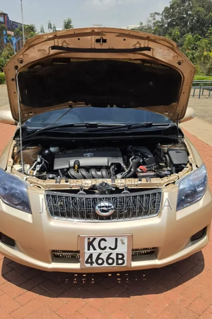 Toyota Axio 2010 Gold