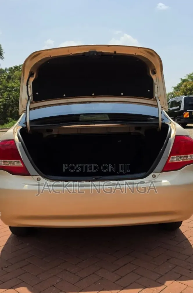 Toyota Axio 2010 Gold
