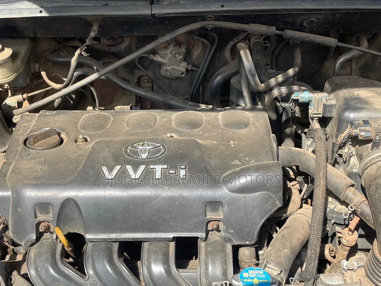 Toyota Vitz 2000 Red