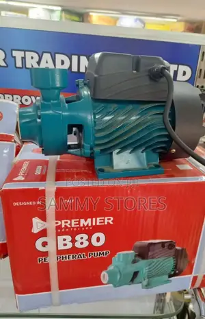 Premier QB80 Home Water Pump