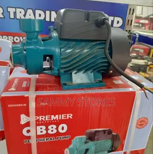 Premier QB80 High-Performance Water Pump