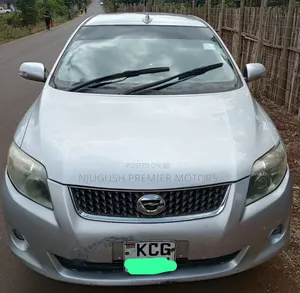 Toyota Corolla Fielder 2009 Silver