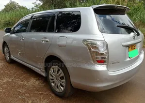 Toyota Corolla Fielder 2009 Silver
