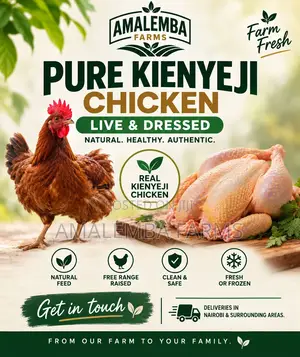 Pure Kienyeji Chicken – Nairobi (Fresh / Frozen)