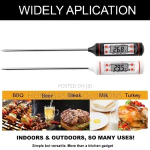 Digital Food Thermometer