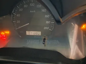 Toyota Hilux 2010 Gray