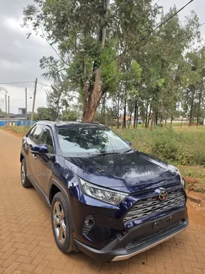 Toyota RAV4 2020 Blue