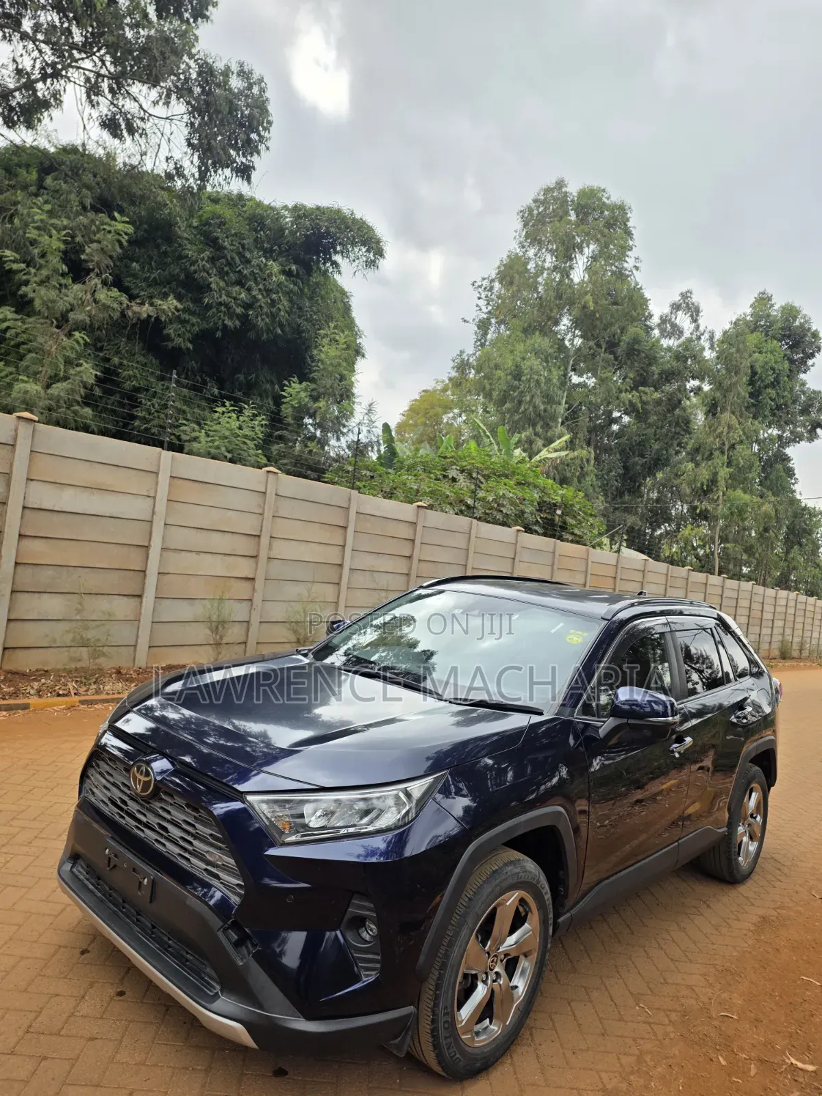 Toyota RAV4 2020 Blue