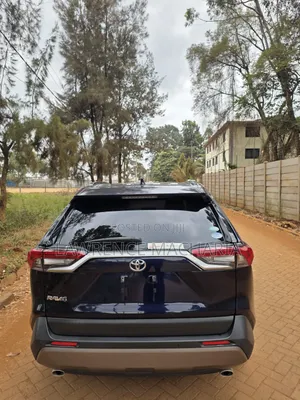 Toyota RAV4 2020 Blue