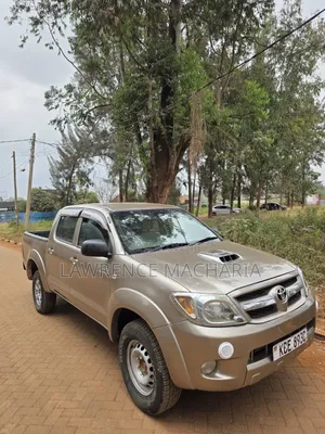 Toyota Hilux 3.0 D-4D Double Cab 2008 Brown