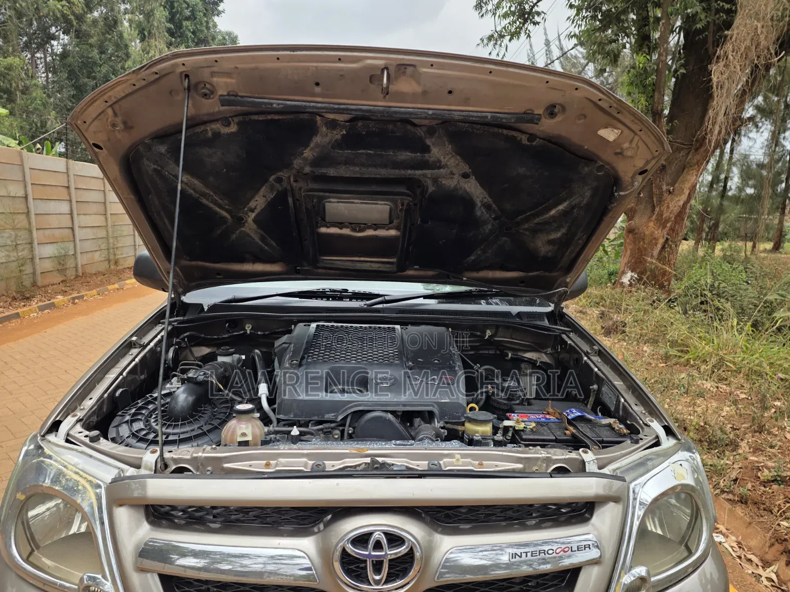 Toyota Hilux 3.0 D-4D Double Cab 2008 Brown