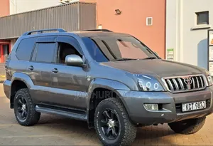 Toyota Land Cruiser 2008 Gray