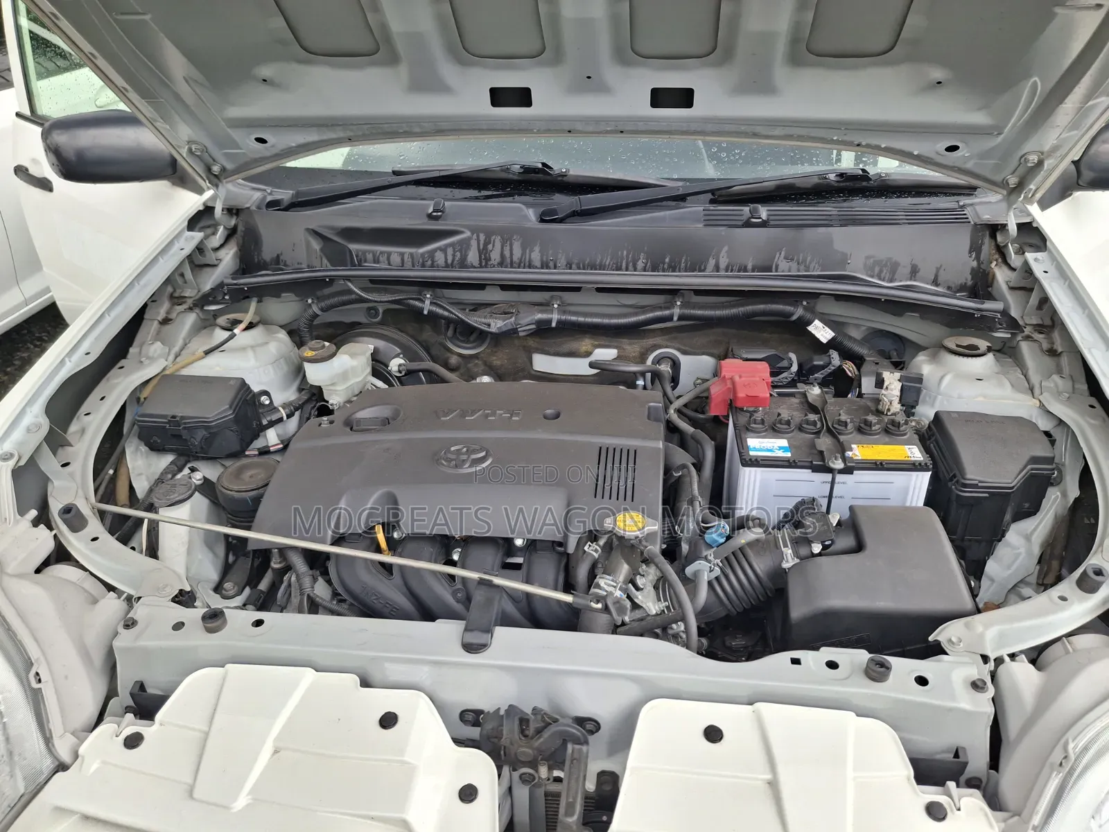 Toyota Succeed 2019 White