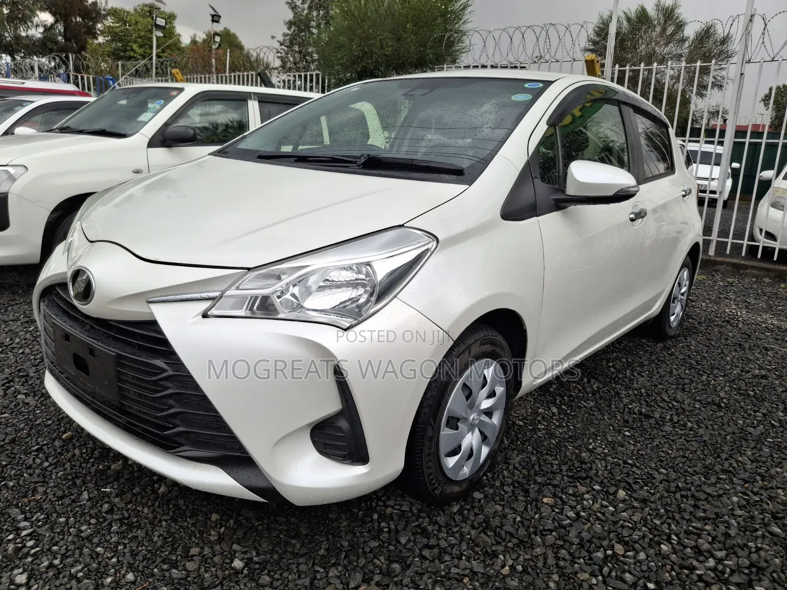 Toyota Vitz 2019 White