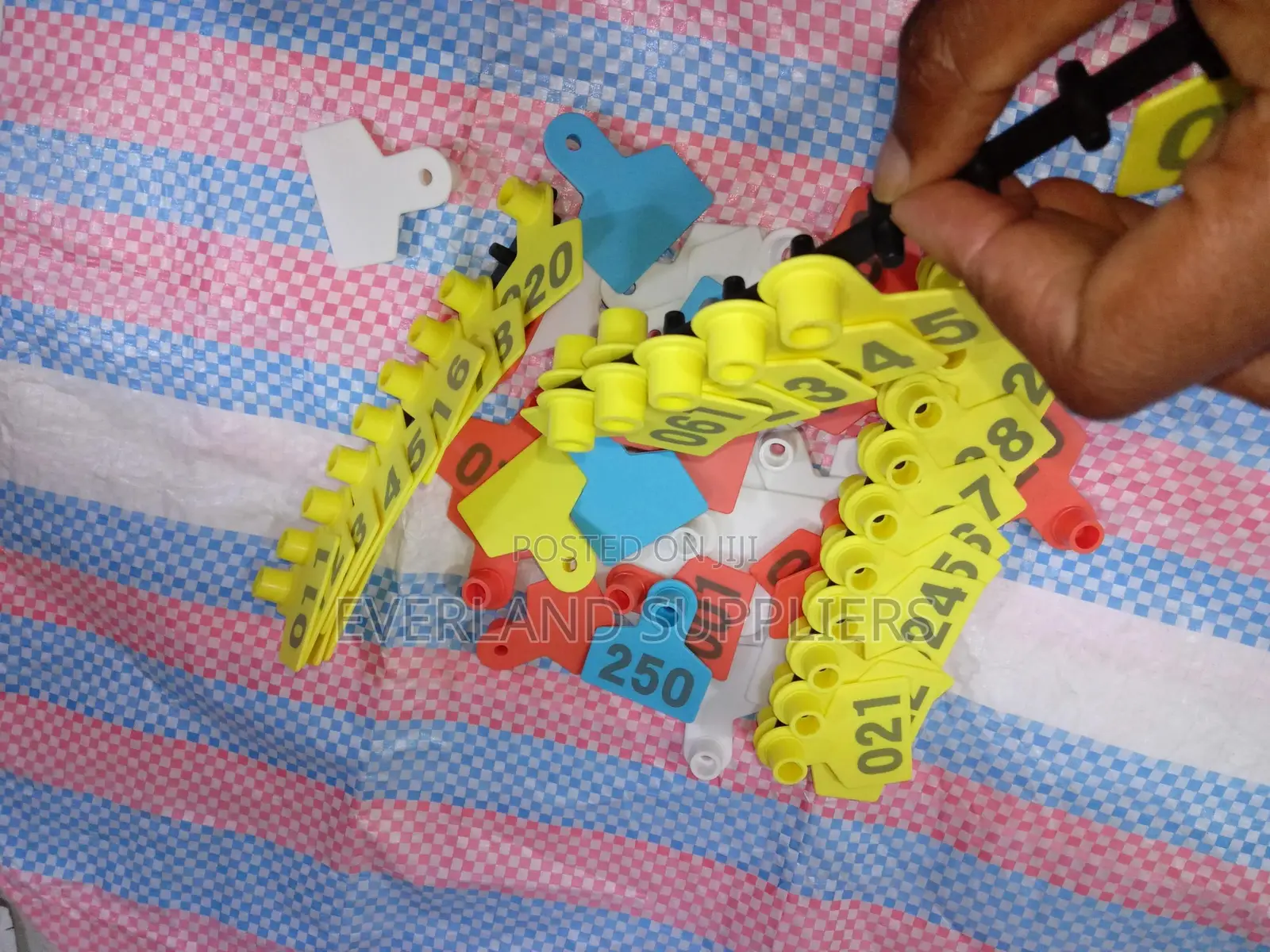 Ear Tags - Pasture of Sheeps and Goats