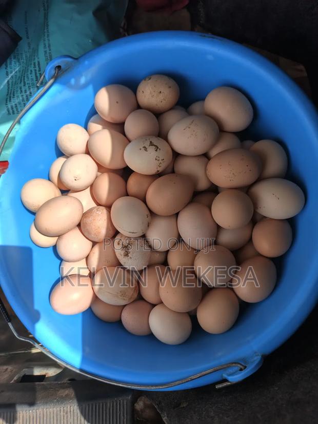 Kienyeji Fertilized Eggs