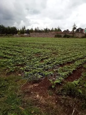 3bdrm Block of Flats in Umoja, Egerton Area for sale