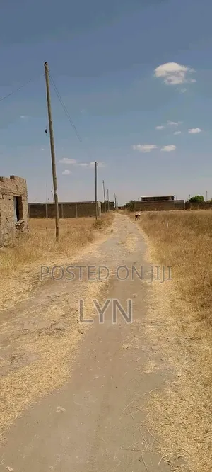 Property Owner