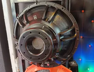 18- Inch Neodymium Bass Speaker