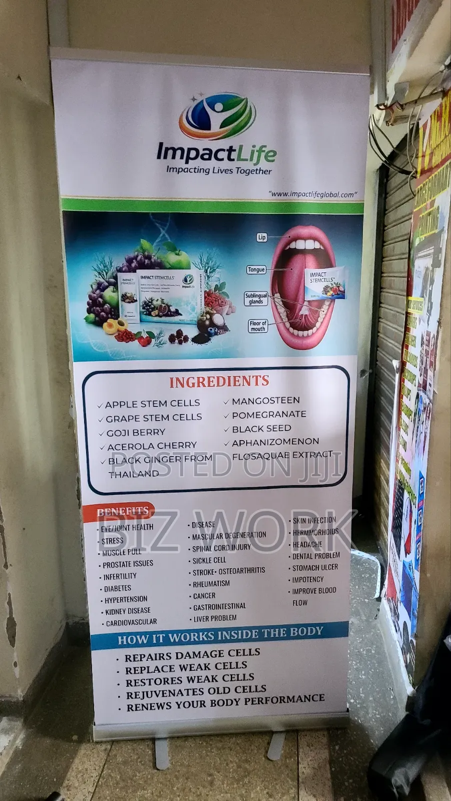 Narrow Base Roll Up Banner for Business