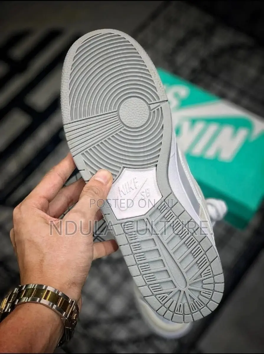 Sb Dunk Arctic Fox