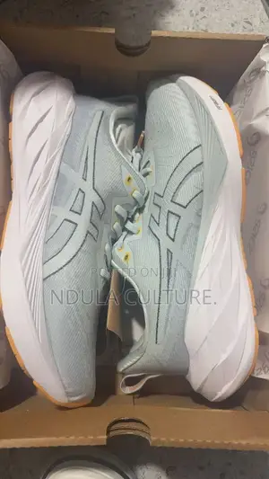 Asics Novablast 4 Runners and Gym Shoes