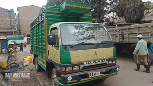 Mitsubishi Canter Truck 4d32 2002 Beige for Sale