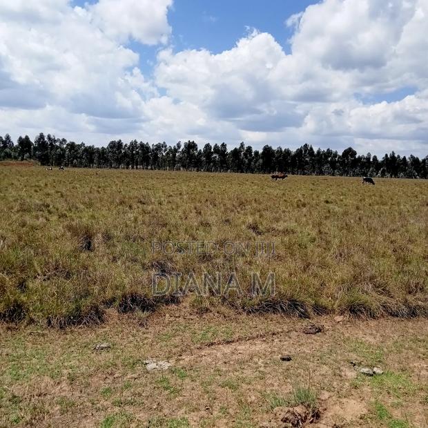10 Acres on Quick Sale in Nyandarua Nguo