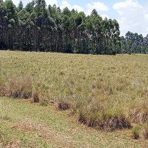 10 Acres on Quick Sale in Nyandarua Nguo