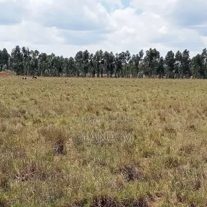 10 Acres on Quick Sale in Nyandarua Nguo