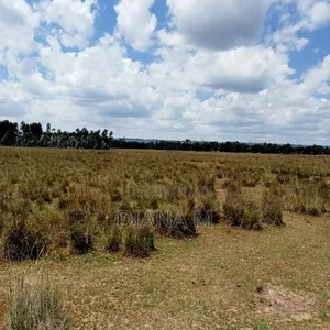 10 Acres on Quick Sale in Nyandarua Nguo