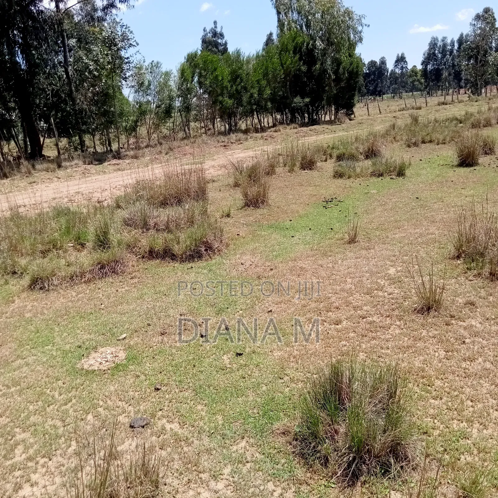 10 Acres on Quick Sale in Nyandarua Nguo