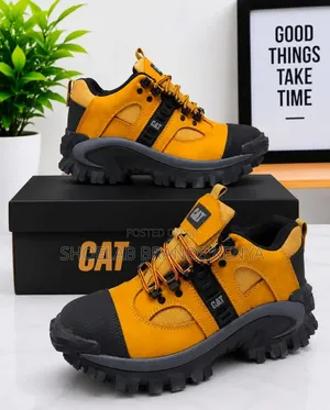 CAT Hiking Boots