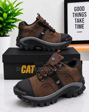 CAT Hiking Boots