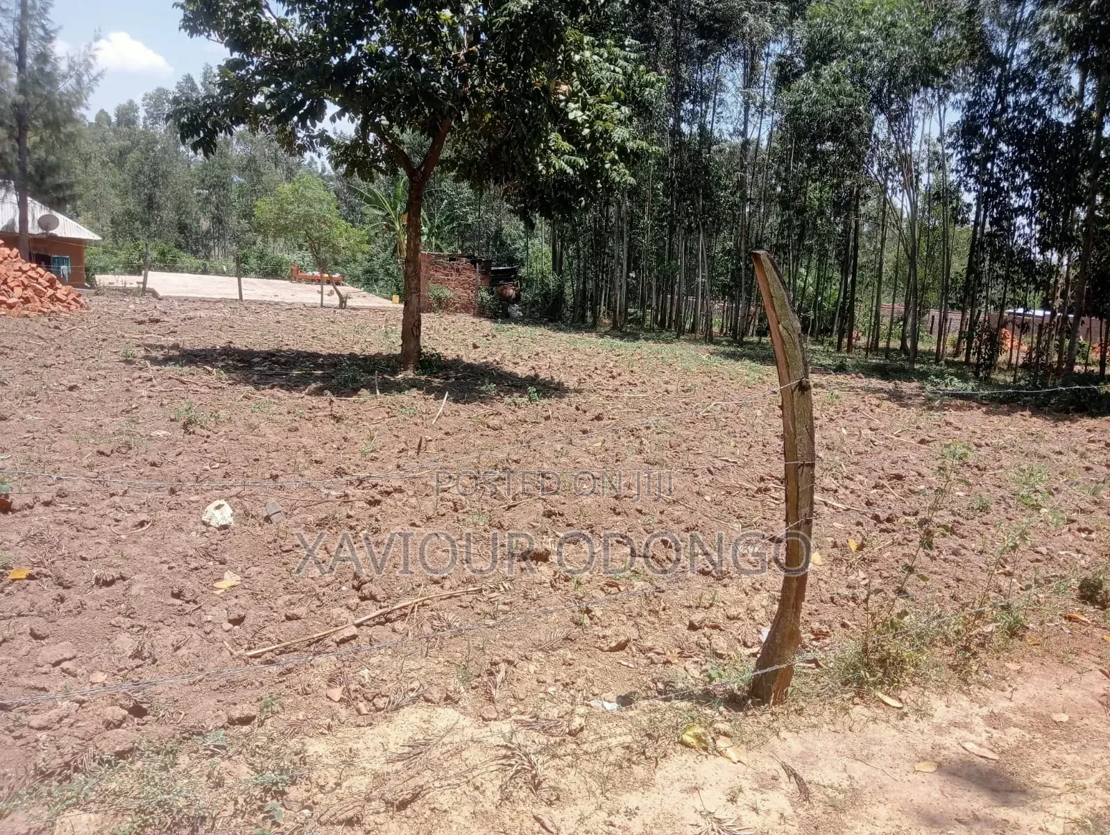 Land for Sale