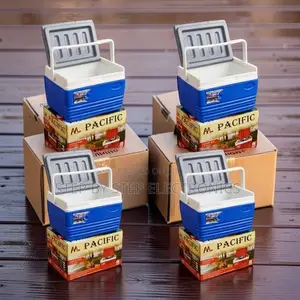 Carry Handles High Quality 4.5L Handheld Portable Cooler Box Ice Box